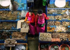 Pasar Ikan Noryangjin/Lonely Planet