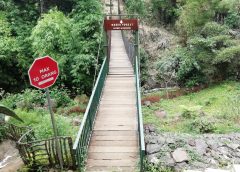 Jembatan Goyang The Green Forest Resort/Bisnis-Novi