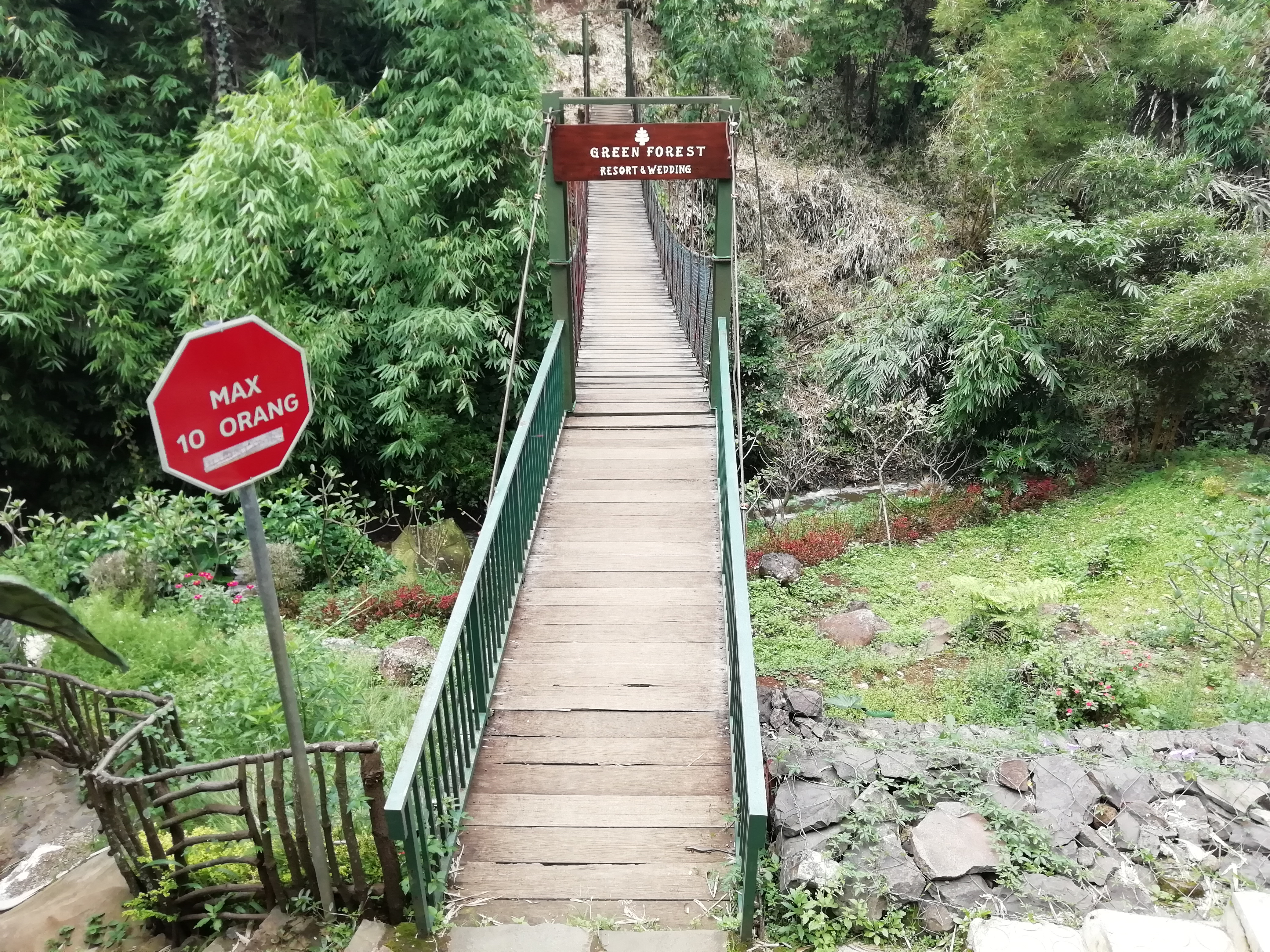 Jembatan Goyang The Green Forest Resort/Bisnis-Novi