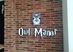 Yuk! Main Bersama Burung Hantu Sepuasnya di Owl Manor/Bisnis-Novi
