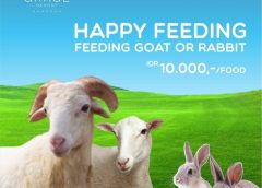 Happy Feeding: Keseruan Memberi Makan Kambing dan Kelinci di Grage Sangkan Hotel & Spa