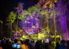 Forestra 2019: Serunya Pertunjukan Musik di Alam Terbuka