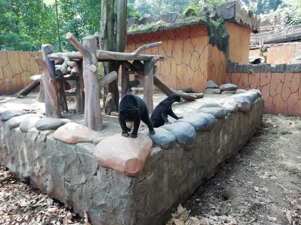Bandung Zoo